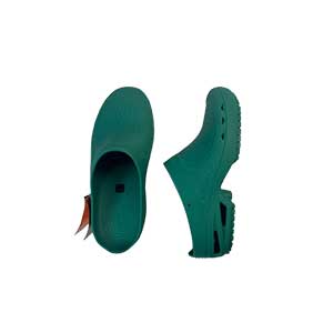 Autoclavable Clog